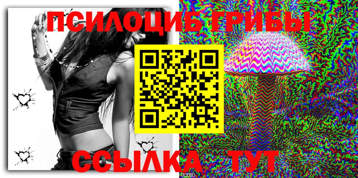 Псилоцибиновые грибы MAGIC MUSHROOMS  Вход с VPN  Нижнеудинск  где можно купить наркотик  Псилоцибиновые грибы Psilocybine cubensis 